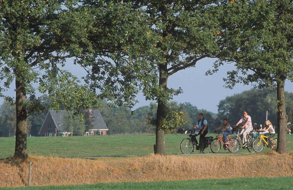 Camping Het Wieskamp Henxel Экстерьер фото